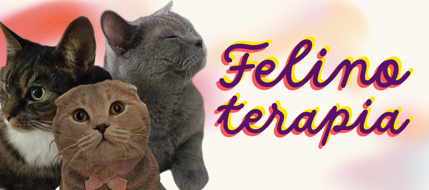 FELINOTERAPIA